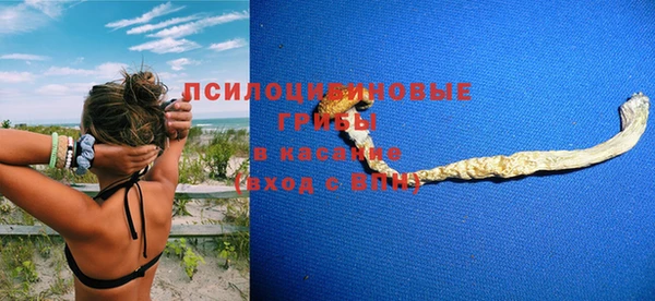 дживик Гусев