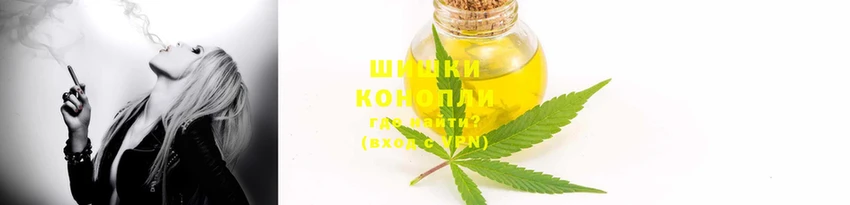 винт Гусиноозёрск