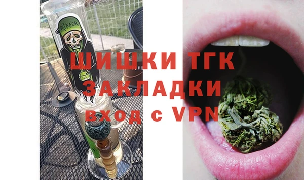 дживик Гусев