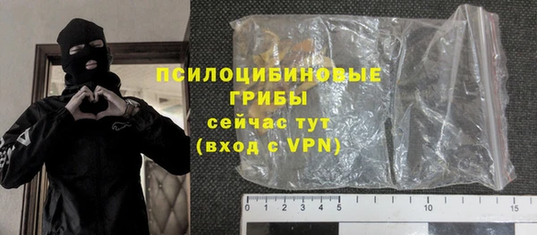 дживик Гусев