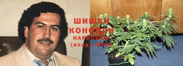 spice Гусь-Хрустальный