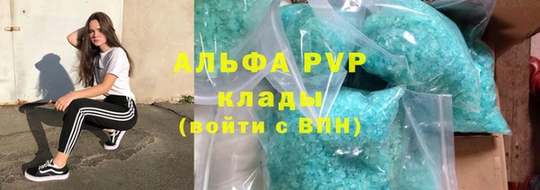 дживик Гусев