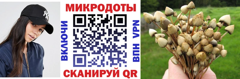 Галлюциногенные грибы мухоморы  Купить  Урай 